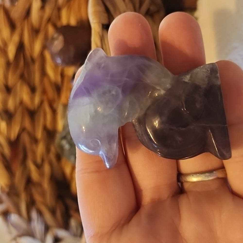 Fluorite dolphin